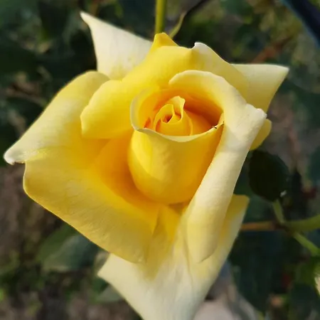 Farmház Barchessa Da Rio *