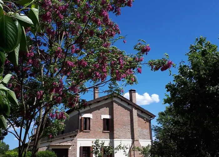 Barchessa Da Rio Farm stay Ponte San Nicolo