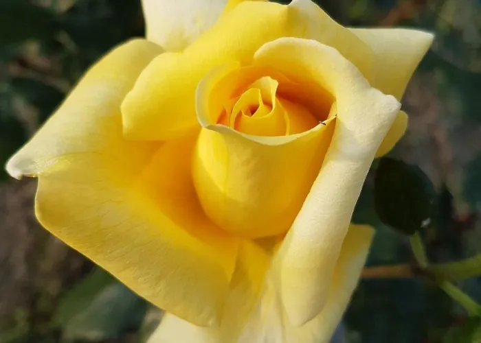 Farm stay Barchessa Da Rio *